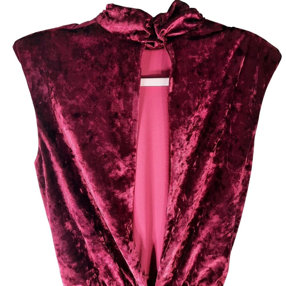 Ronny Kobo Burgundy Sleeveless Mini Dress - Picture 10 of 11
